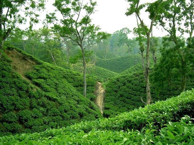 Sylhet
